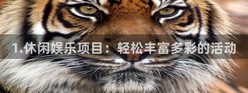 焦点娱乐网站平台登录：1.休闲娱乐项目：轻松丰富多彩的活动