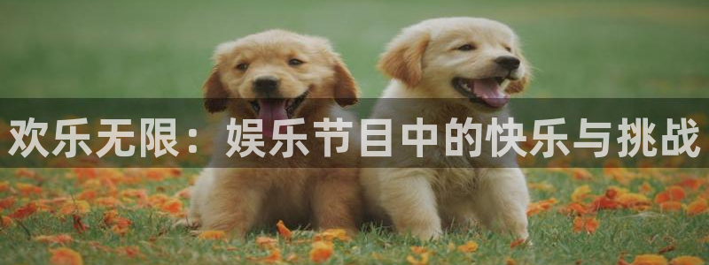焦点娱乐登录网：欢乐无限：娱乐节目中的快乐与挑战