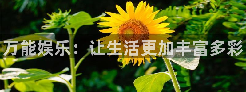 焦点娱乐注册网站app：万能娱乐：让生活更加丰富多彩