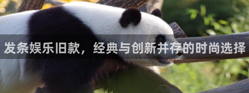 焦点娱乐手机客户端下载安装：发条娱乐旧款，经典与创新并存的时尚选择