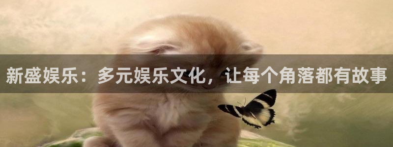 焦点娱乐是赌博吗：新盛娱乐：多元娱乐文化，让每个角落都有故事