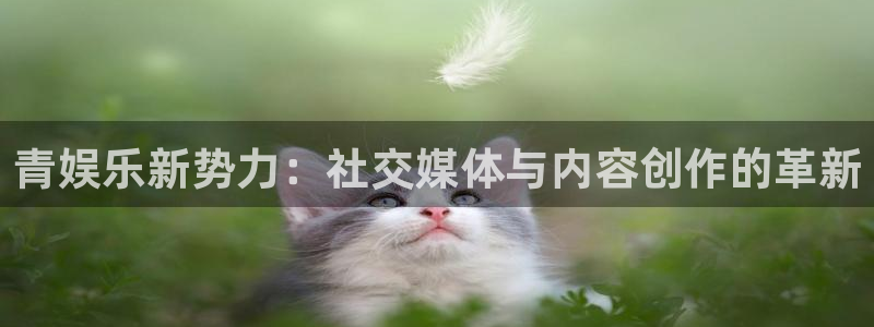 焦点娱乐app网页入口：青娱乐新势力：社交媒体与内容创作的革新