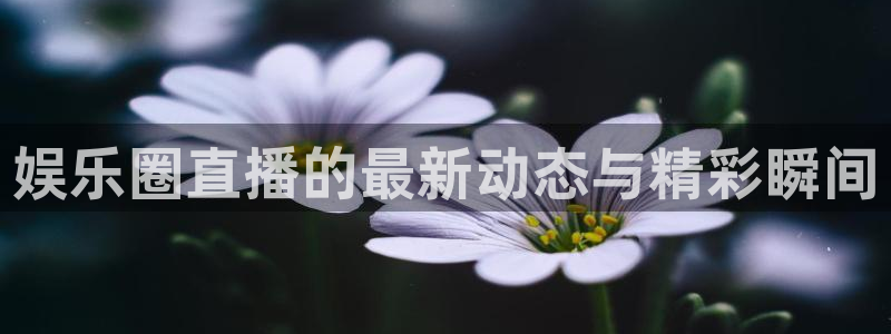 焦点娱乐官网版下载链接：娱乐圈直播的最新动态与精彩瞬间
