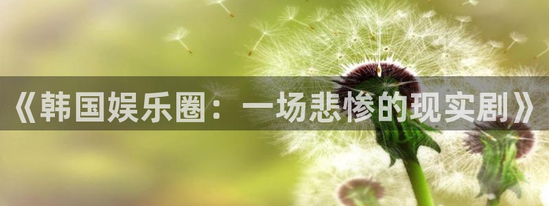 焦点娱乐平台官网登录入口：《韩国娱乐圈：一场悲惨的现实剧》