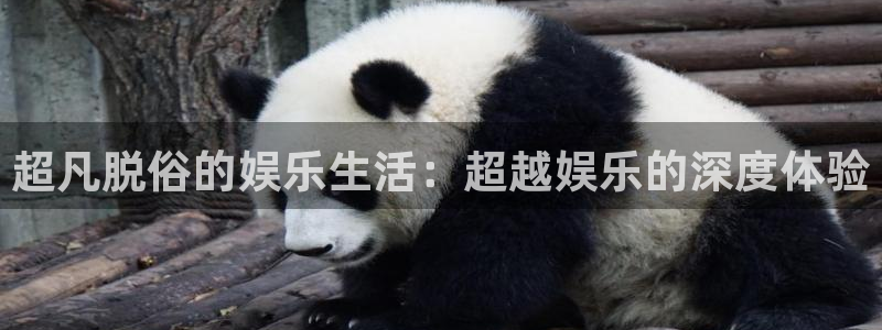 焦点娱乐平台管网入口：超凡脱俗的娱乐生活：超越娱乐的深度体验