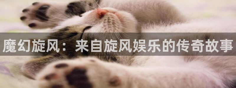 焦点娱乐下载入口：魔幻旋风：来自旋风娱乐的传奇故事