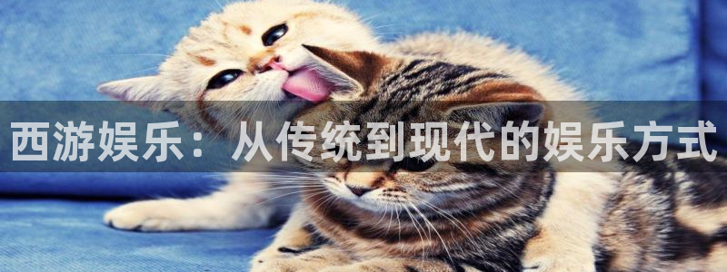 壹号电子娱乐app下载最新版本：西游娱乐：从传统到现代的娱乐方式