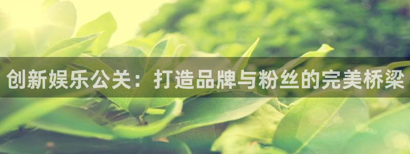 焦点娱乐怎么下载：创新娱乐公关：打造品牌与粉丝的完美桥梁