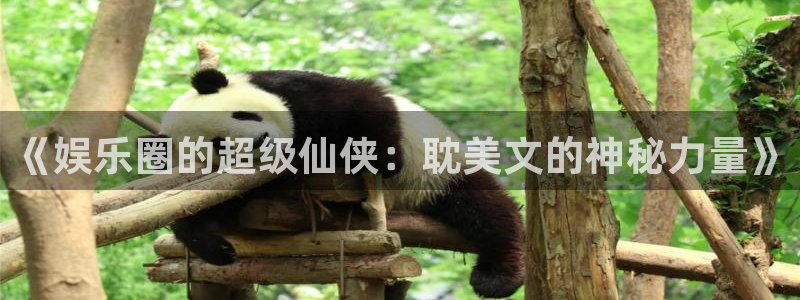 壹号注册入口app下载：《娱乐圈的超级仙侠：耽美文的神秘力量》